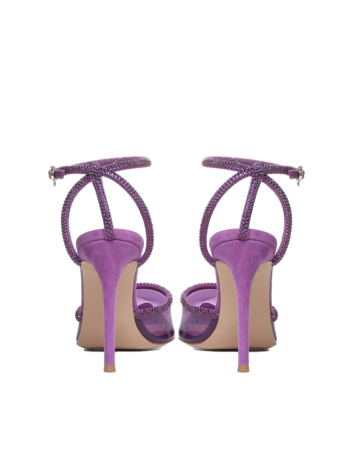 G95406.15RIC.PLCFRFRPLEXI+CAMOSCIOFREESIA+FREESI GIANVITO ROSSI